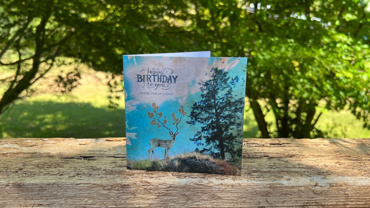 Birthday Cards - Cedar Mountain Studios