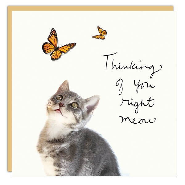 Gift Enclosure - Lost & Found - Thinking of You Right Meow