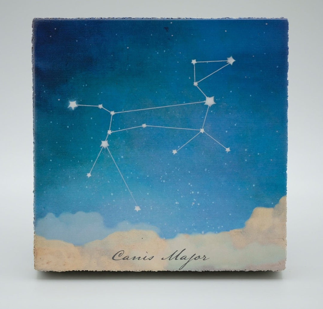 Art Block - Lost & Found - Canis Major - Cedar Mountain Studios