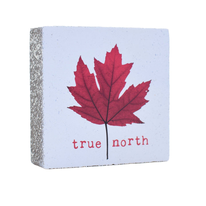 Art Block - Lost & Found - True North - Cedar Mountain Studios