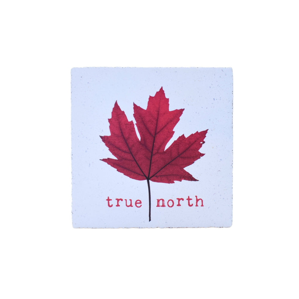 Art Block - Lost & Found - True North - Cedar Mountain Studios