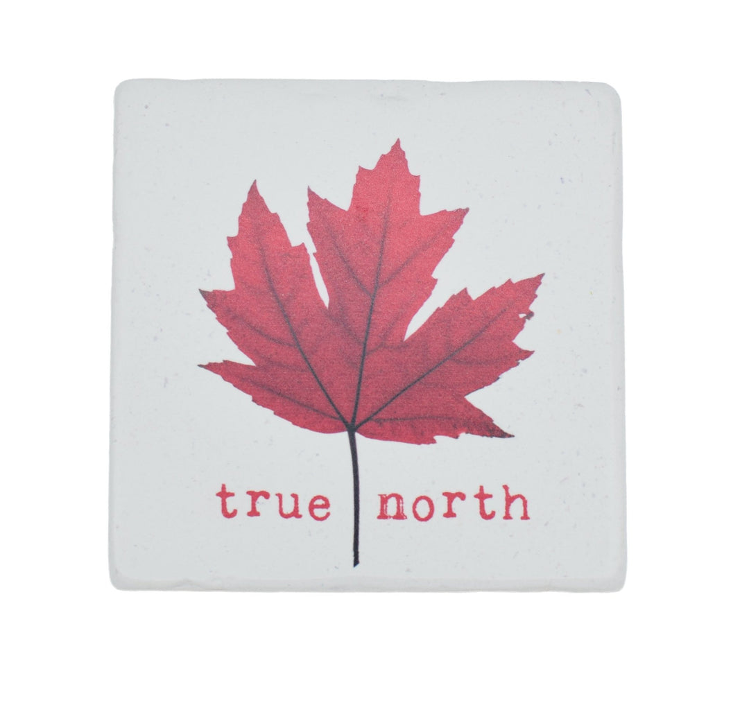 Marble Coasters - Lost & Found - True North - Cedar Mountain Studios