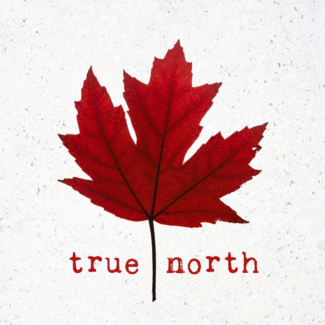 Stationery - Lost & Found Card - True North - Cedar Mountain Studios
