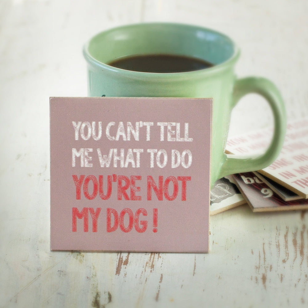 Can't Tell Me Coaster or Magnet - Cedar Mountain Studios