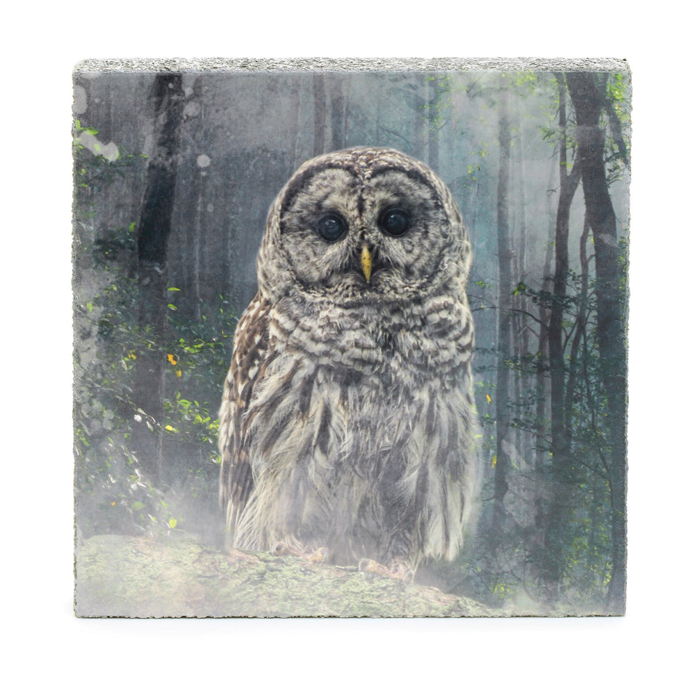 Forest Owl Art Block - Cedar Mountain Studios