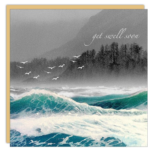 Get Swell Soon - Cedar Mountain Studios