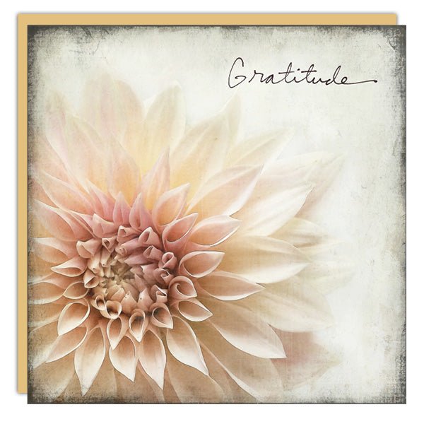 Gratitude - Cedar Mountain Studios