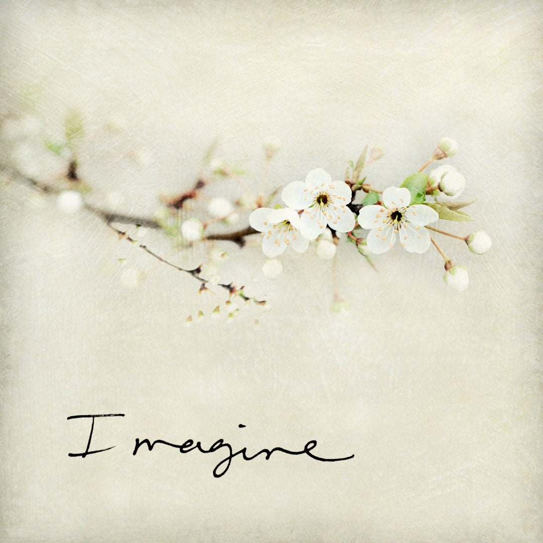 Imagine Marble Coaster - Cedar Mountain Studios