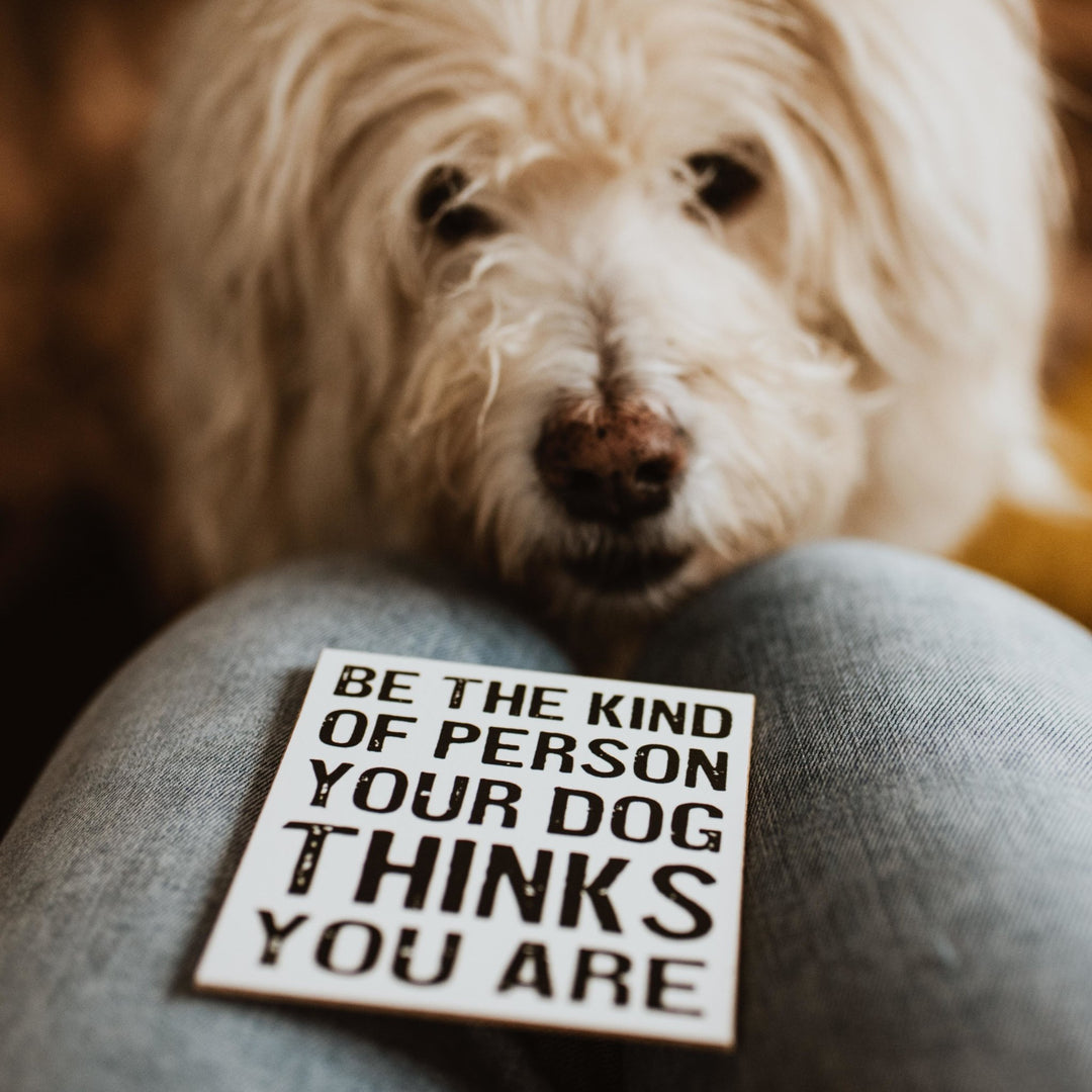 Kind of Person Coaster or Magnet - Cedar Mountain Studios