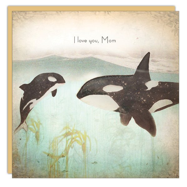 Love You Mom - Orca - Cedar Mountain Studios