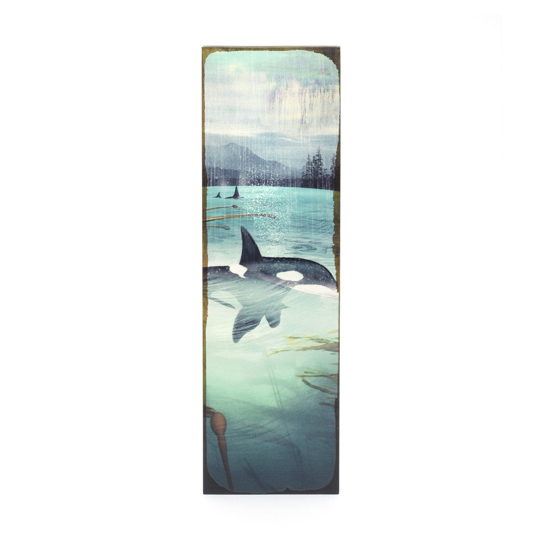 Orca Spray - Cedar Mountain Studios