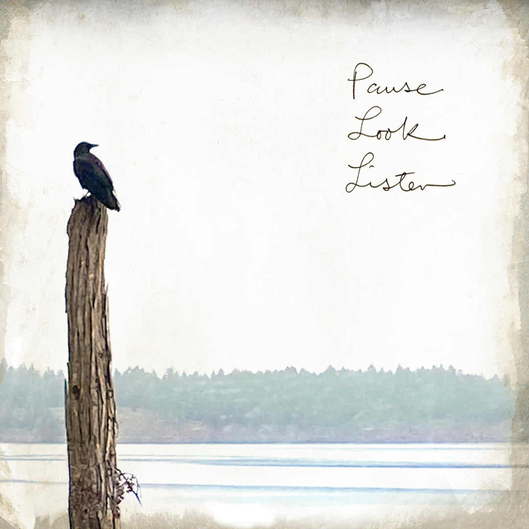 Pause Look Listen Marble Coaster - Cedar Mountain Studios