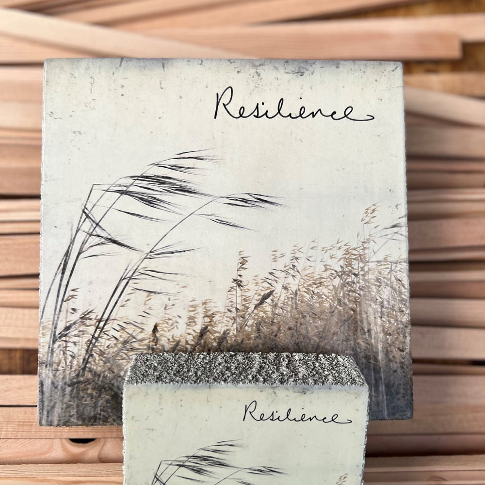 Resilience Art Block - Cedar Mountain Studios
