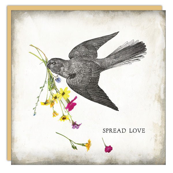 Spread Love - Cedar Mountain Studios