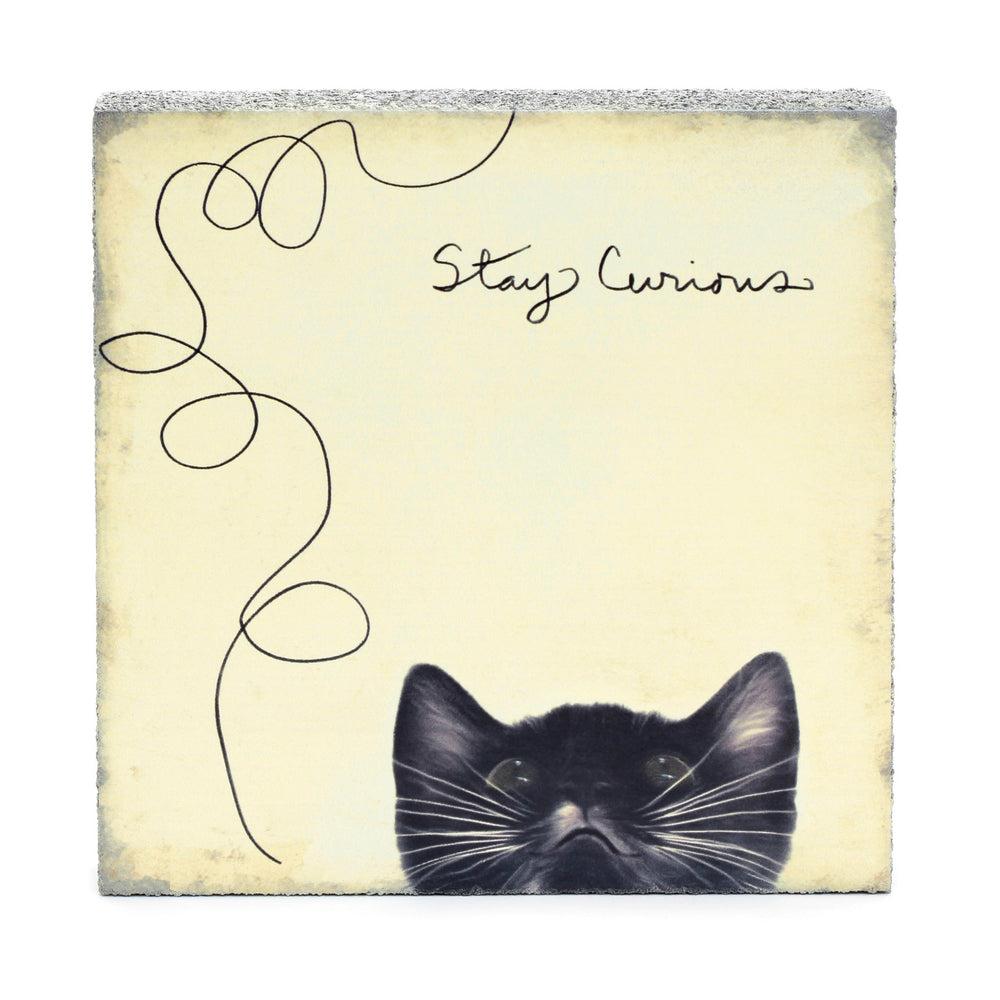 Stay Curious Art Block - Cedar Mountain Studios