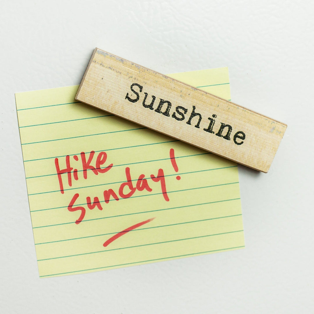 Sunshine Timber Magnet - Cedar Mountain Studios