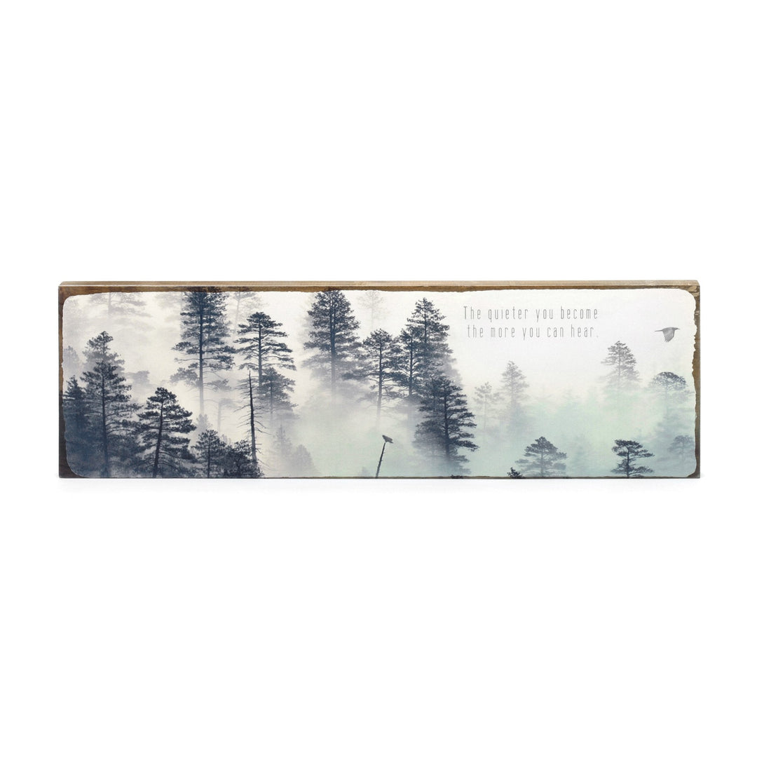 The Quieter You Become - Cedar Mountain Studios