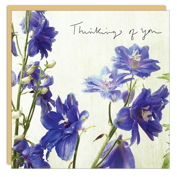 Thinking of You (Delphiniums) - Cedar Mountain Studios