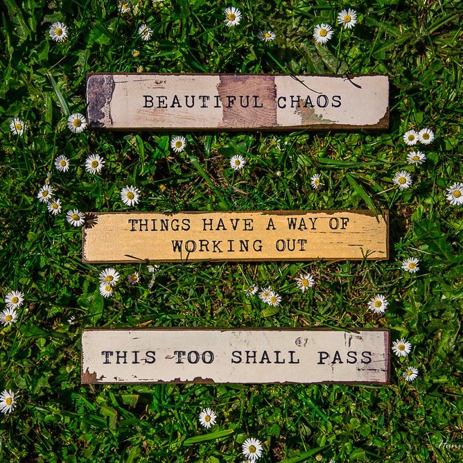 This Too Shall Pass Timber Bit - Cedar Mountain Studios