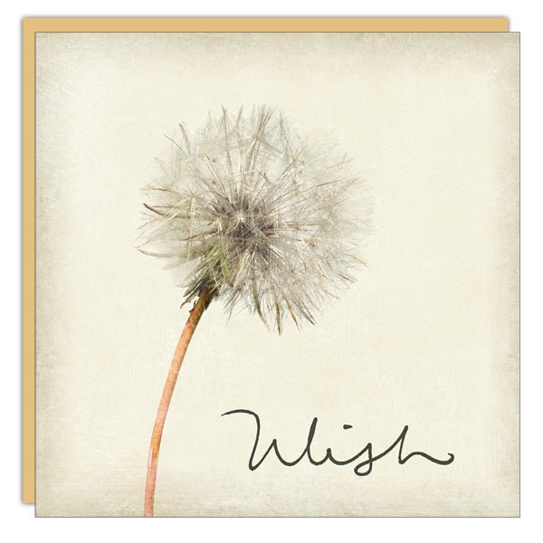 Wish - Cedar Mountain Studios