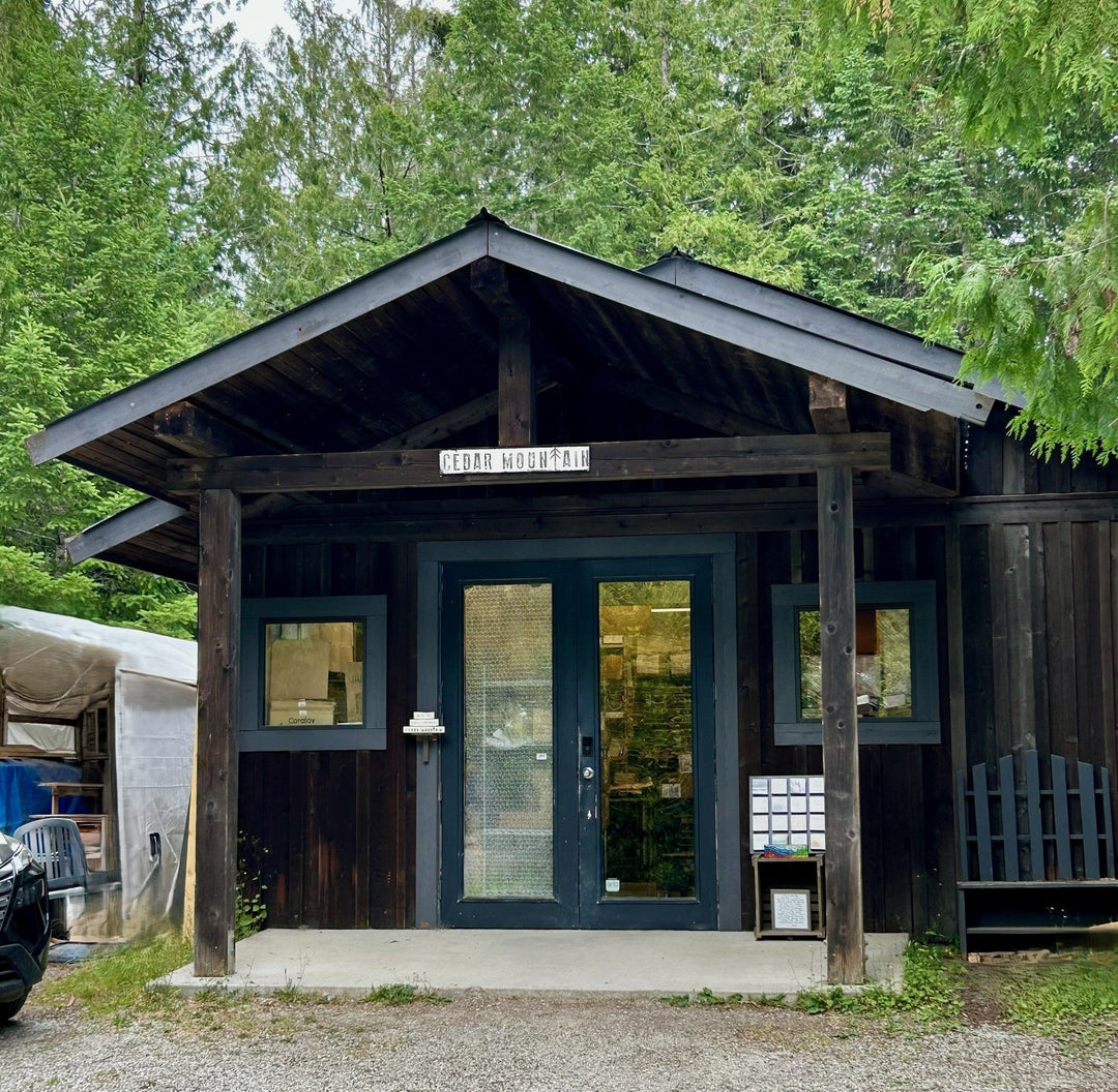 Behind the Scenes at Cedar Mountain Studios - Cedar Mountain Studios
