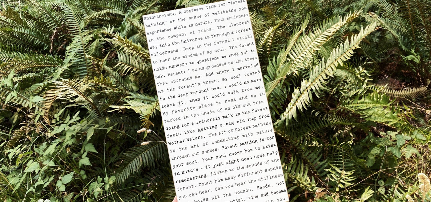 Gifts For Nature Lovers - Cedar Mountain Studios