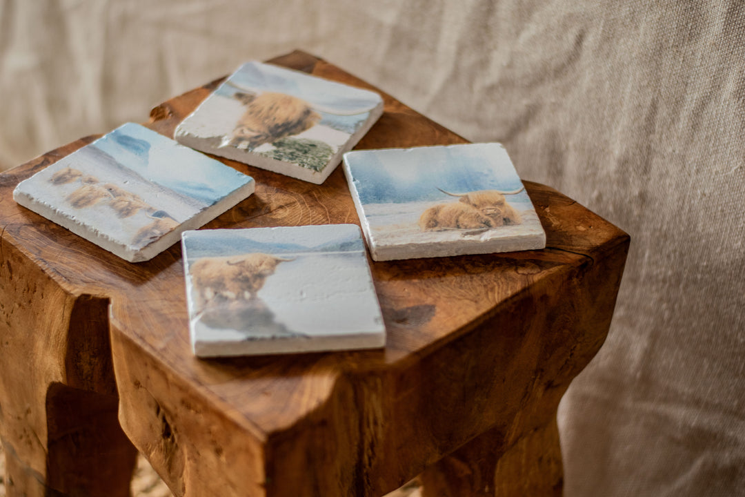 Marble Coasters - Highland at Rest