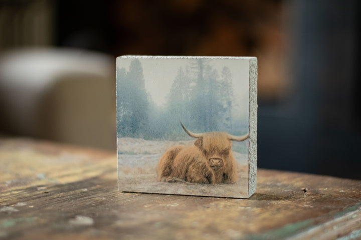 Art Block - Lost & Found - Highland at Rest