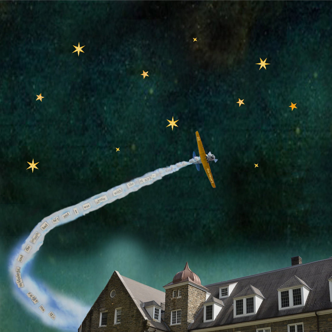 Art Block - Lost & Found - Alone with the Stars - Cedar Mountain Studios