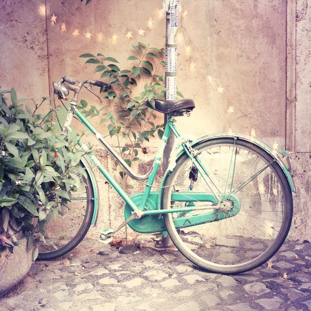Art Block - Lost & Found - Bicycle Lights - Cedar Mountain Studios