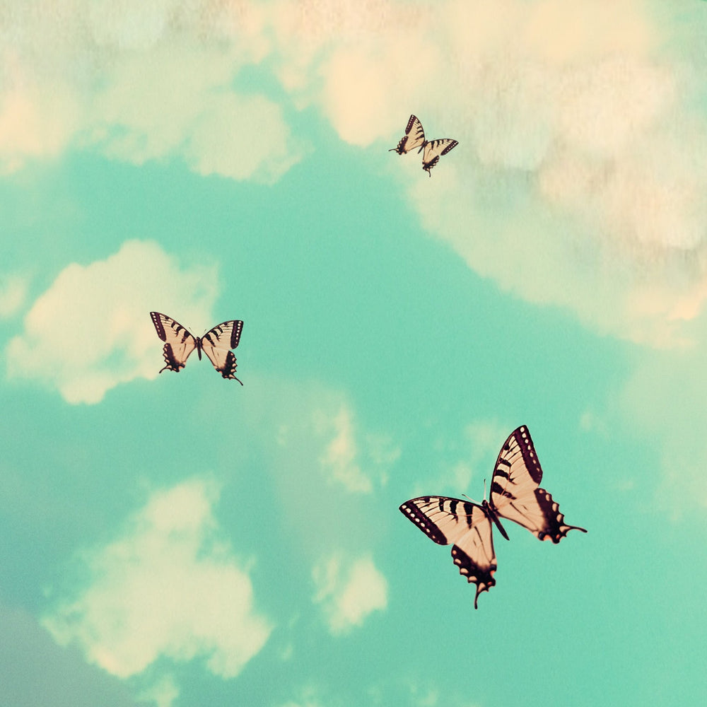 Art Block - Lost & Found - Butterfly Sky - Cedar Mountain Studios