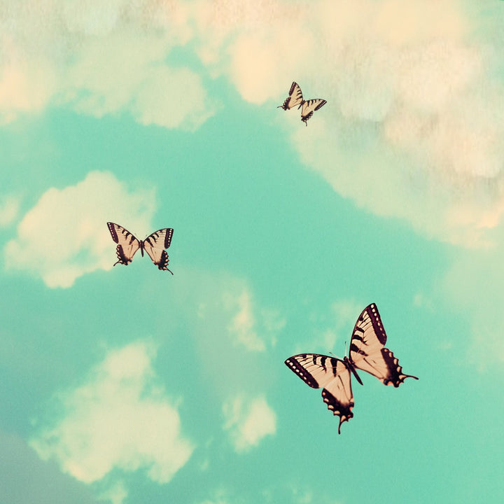 Art Block - Lost & Found - Butterfly Sky - Cedar Mountain Studios