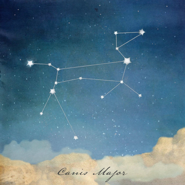 Art Block - Lost & Found - Canis Major - Cedar Mountain Studios