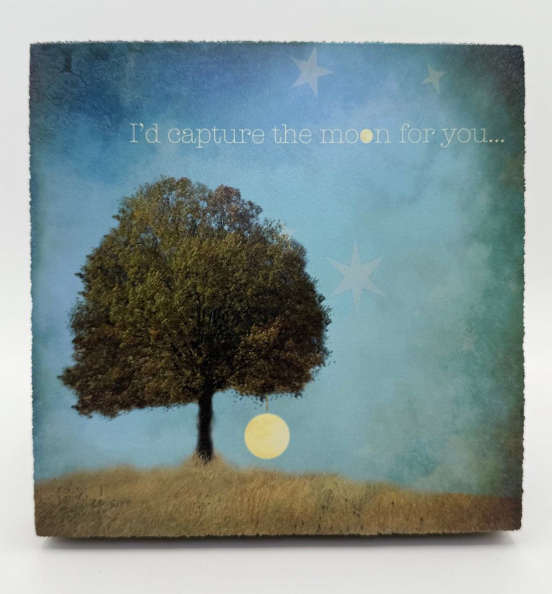Art Block - Lost & Found - Capture the Moon - Cedar Mountain Studios
