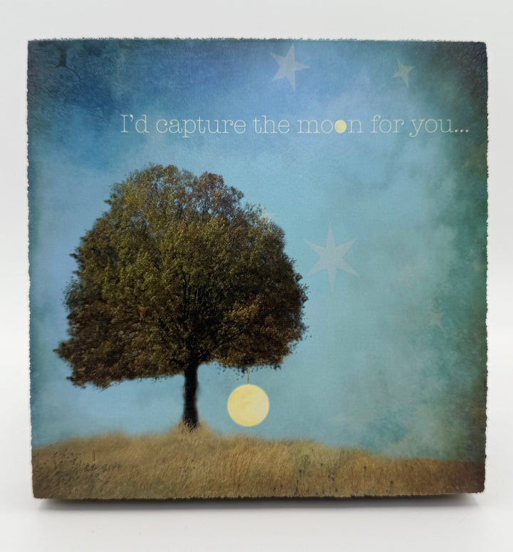 Art Block - Lost & Found - Capture the Moon - Cedar Mountain Studios