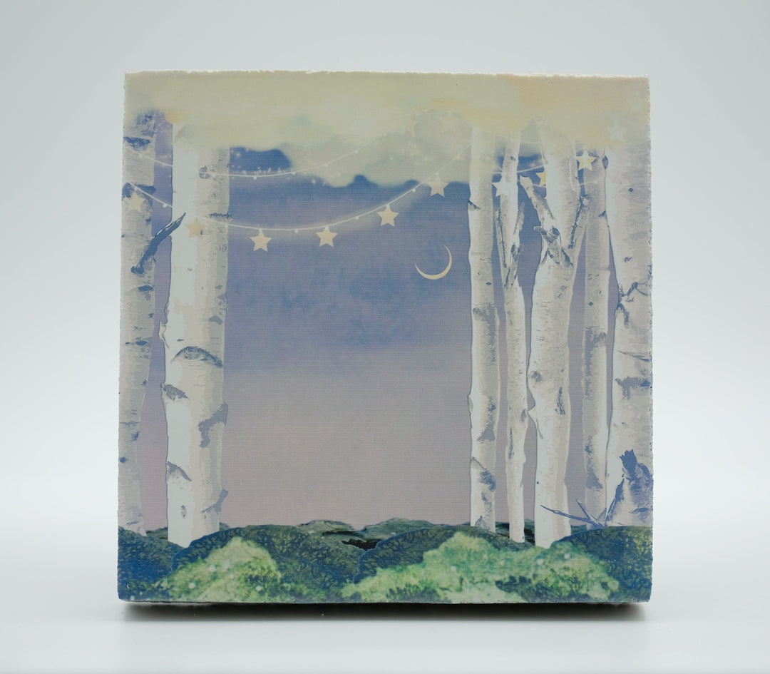 Art Block - Lost & Found - Celestial garden - Cedar Mountain Studios