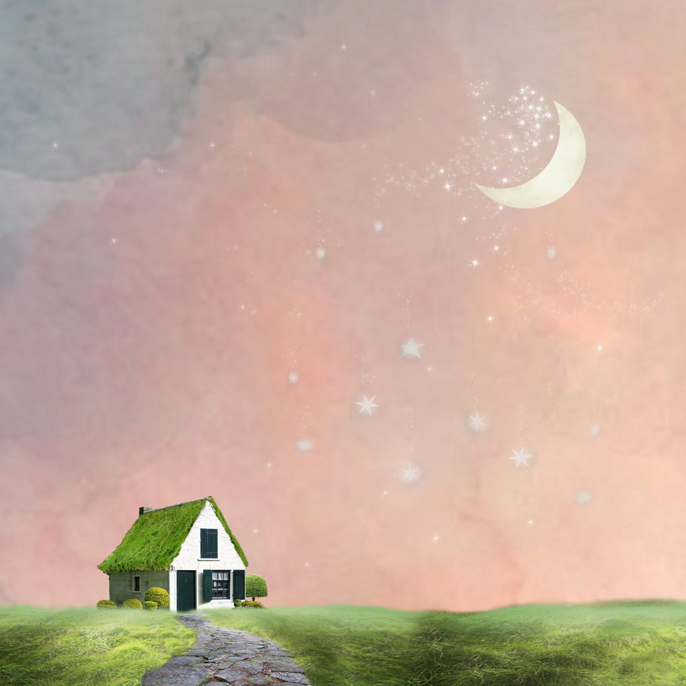 Art Block - Lost & Found - Cottage of Stars - Cedar Mountain Studios