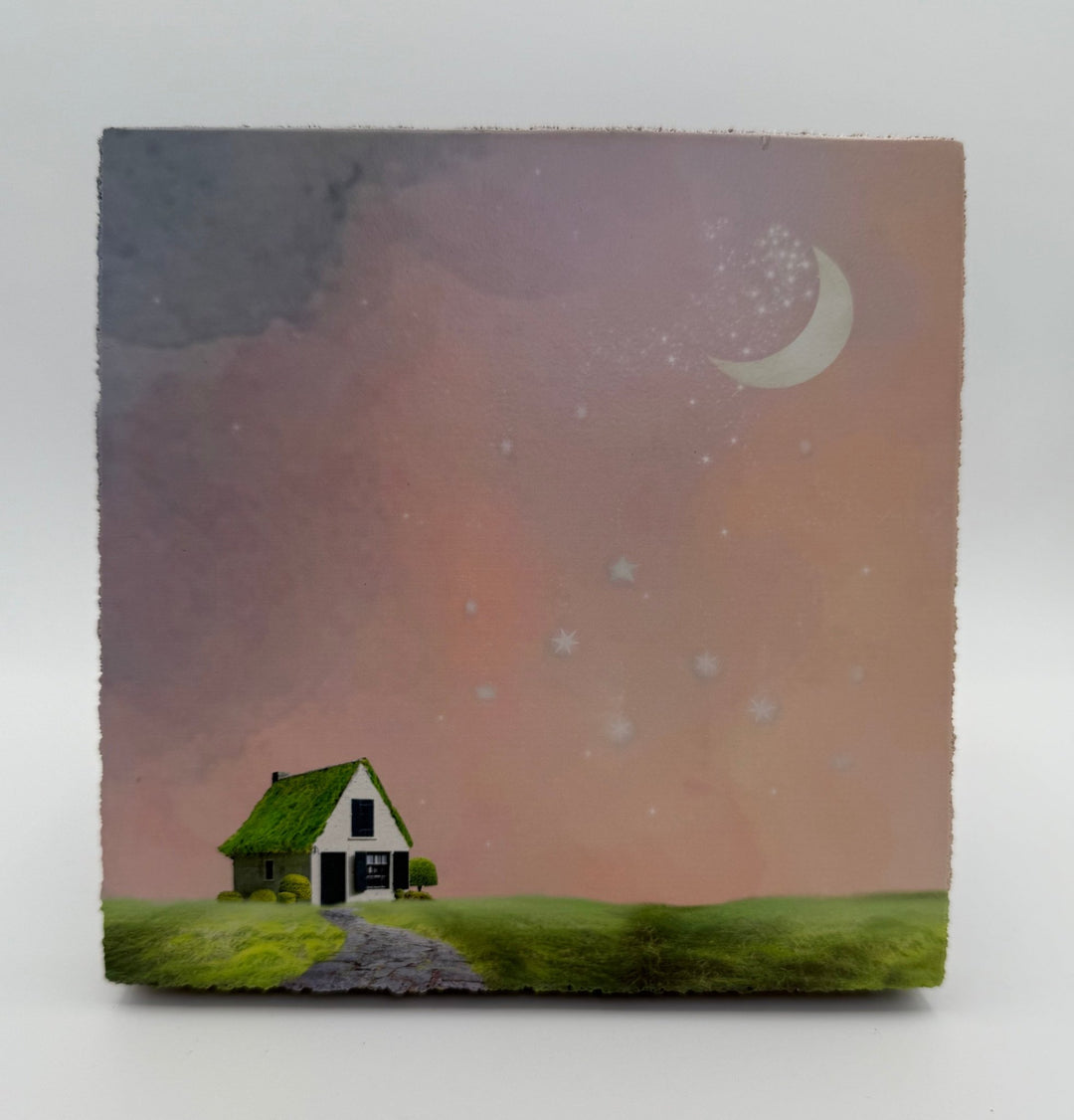 Art Block - Lost & Found - Cottage of Stars - Cedar Mountain Studios