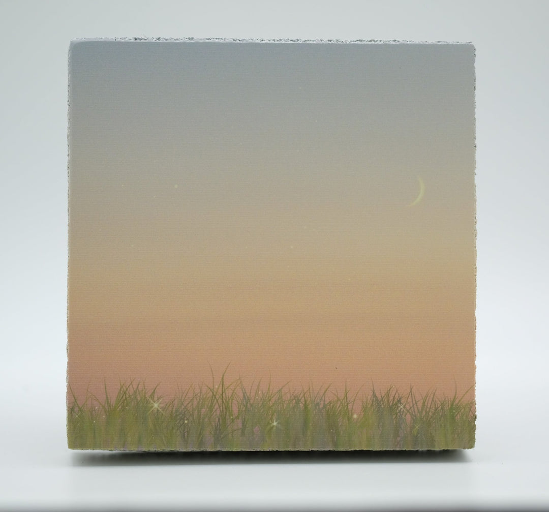 Art Block - Lost & Found - Field of Stars - Cedar Mountain Studios