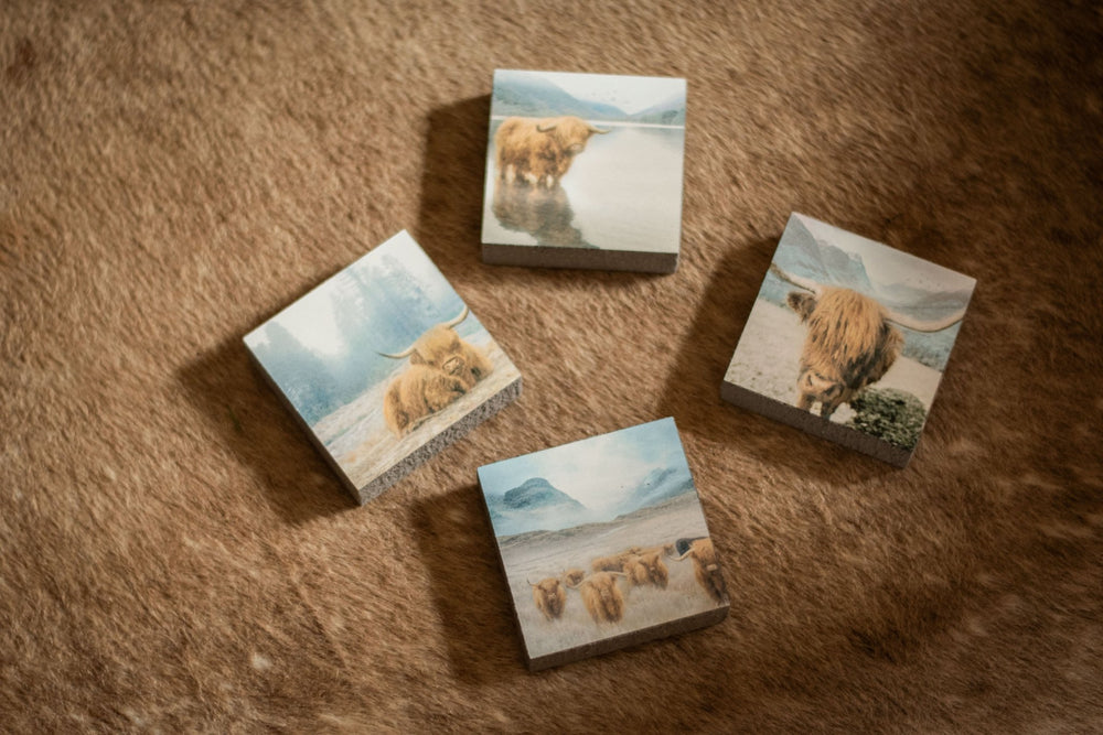 Art Block - Lost & Found - Highland Wading - Cedar Mountain Studios