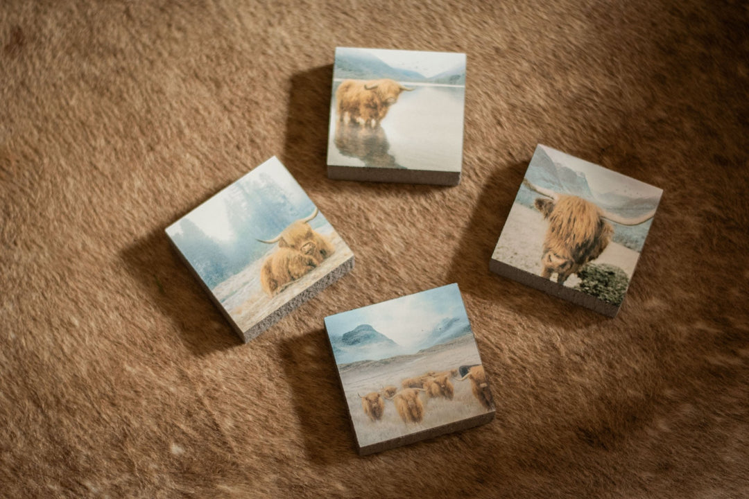 Art Block - Lost & Found - Highland Wading - Cedar Mountain Studios