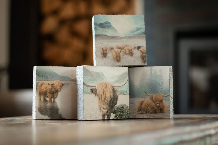 Art Block - Lost & Found - Highland Wading - Cedar Mountain Studios