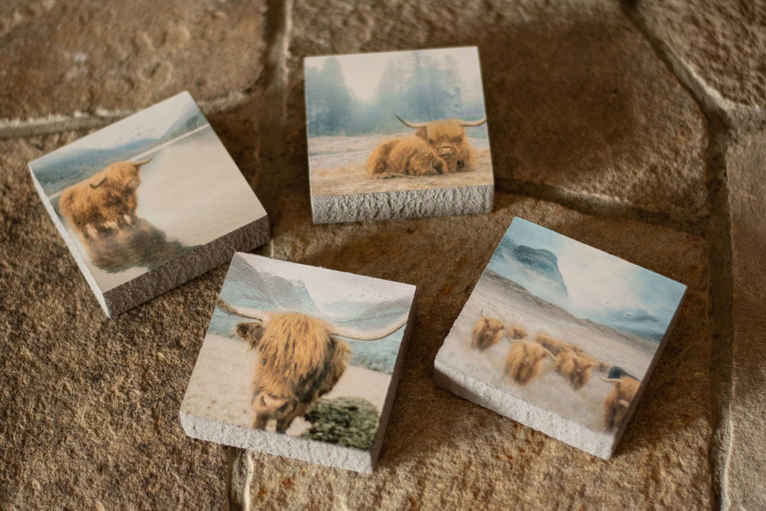 Art Block - Lost & Found - Highland Wading - Cedar Mountain Studios