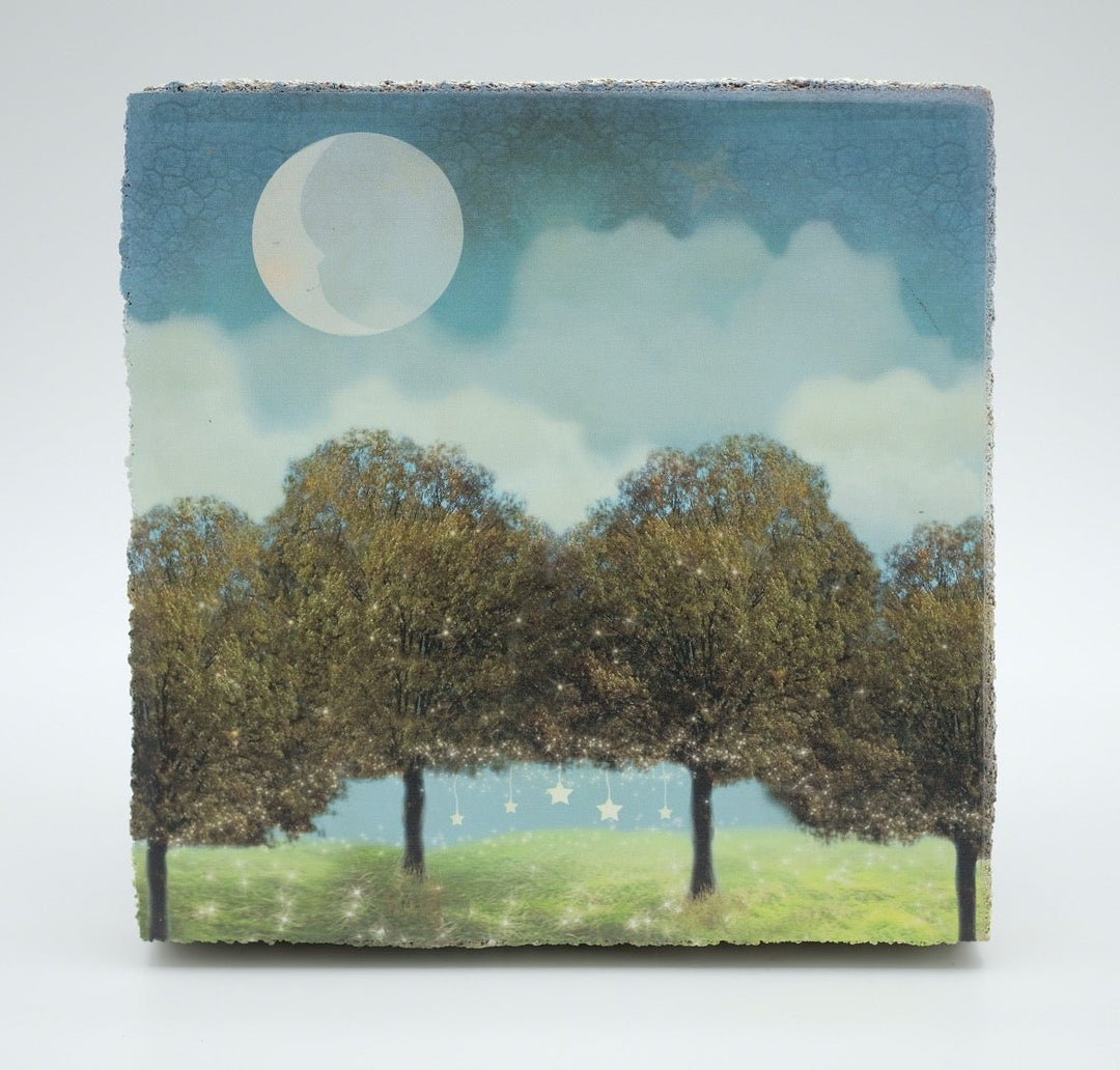 Art Block - Lost & Found - Magic Forest - Cedar Mountain Studios