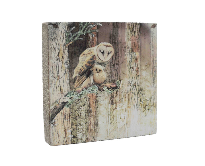 Art Block - Lost & Found - Owl and Owlet - Cedar Mountain Studios