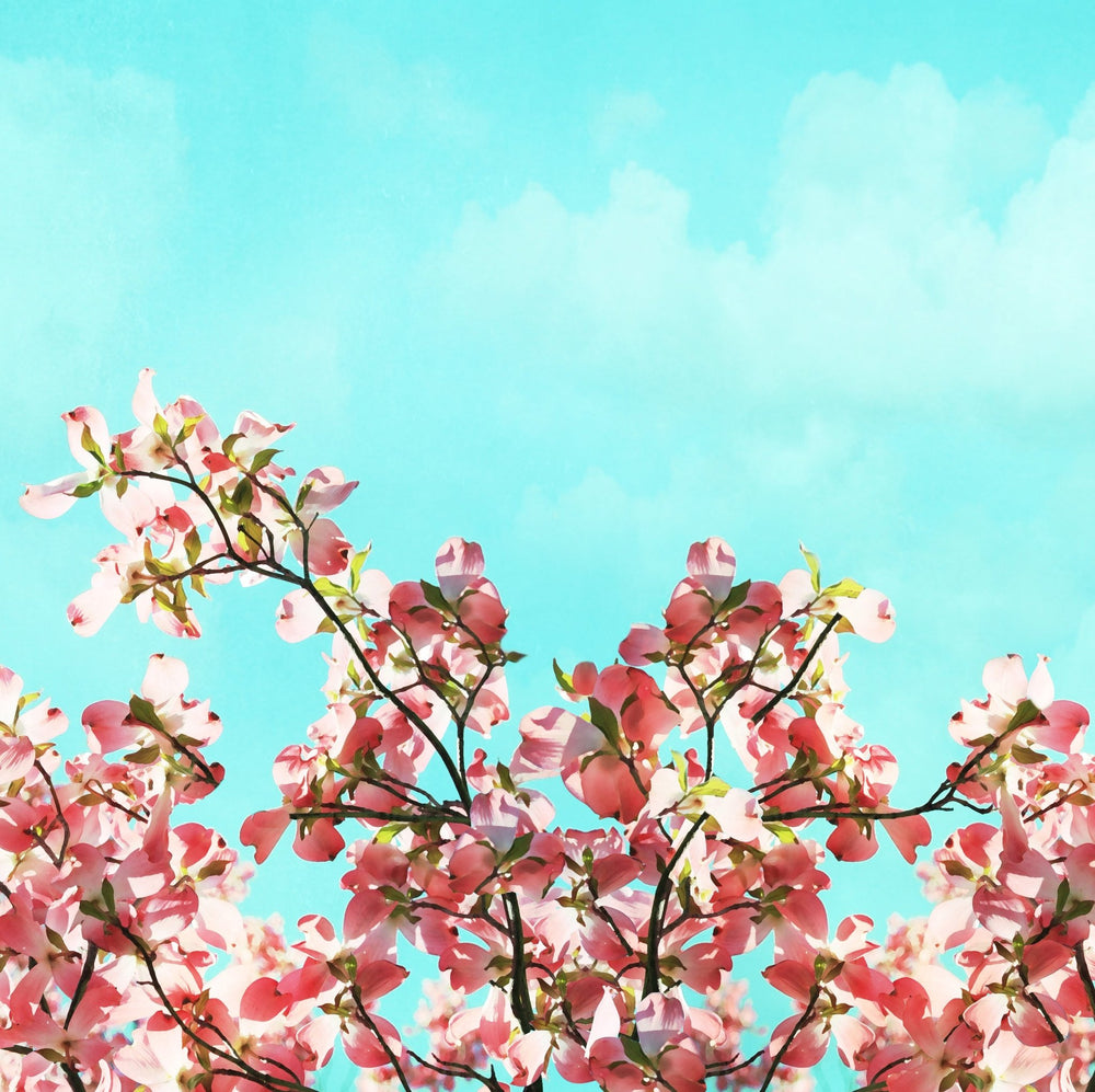 Art Block - Lost & Found - Pink Dogwoods - Cedar Mountain Studios