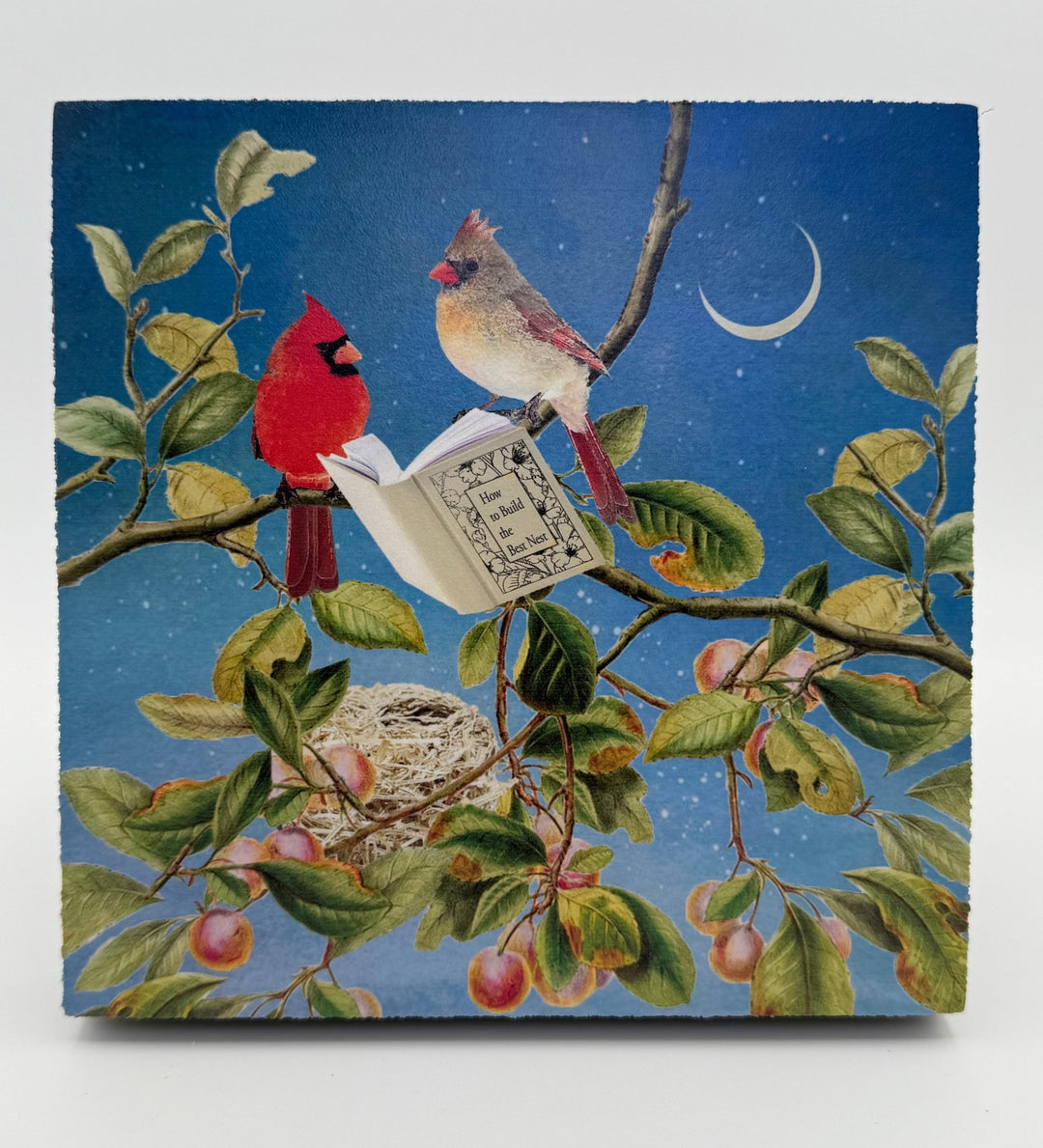 Art Block - Lost & Found - Reading Cardinals - Cedar Mountain Studios