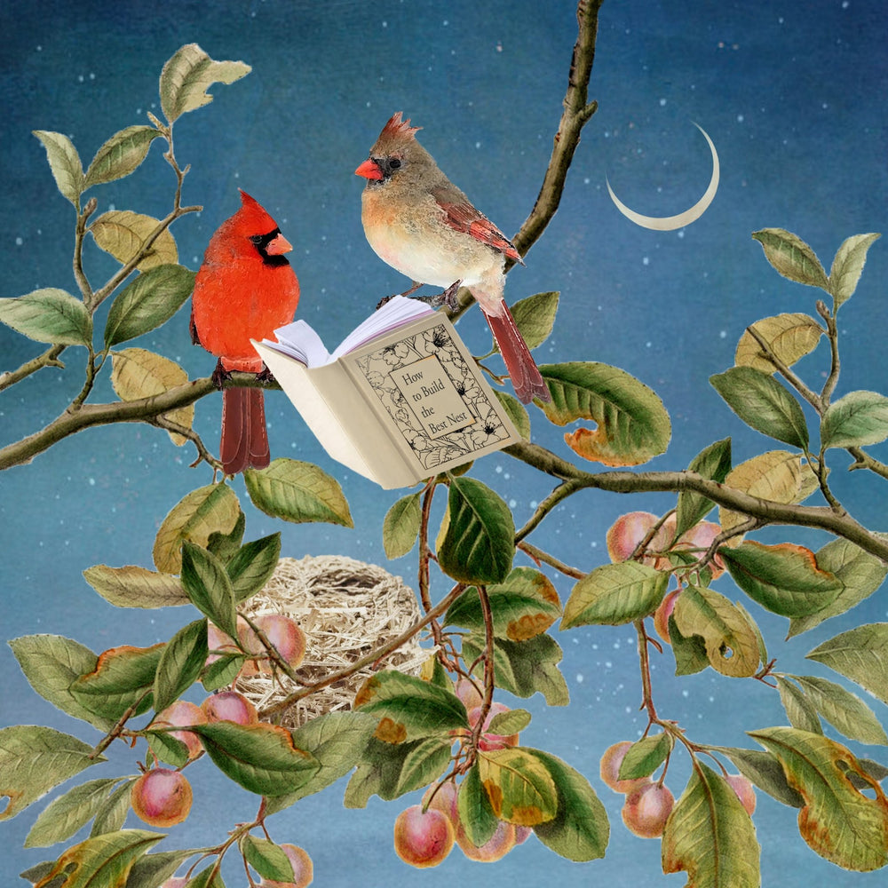 Art Block - Lost & Found - Reading Cardinals - Cedar Mountain Studios