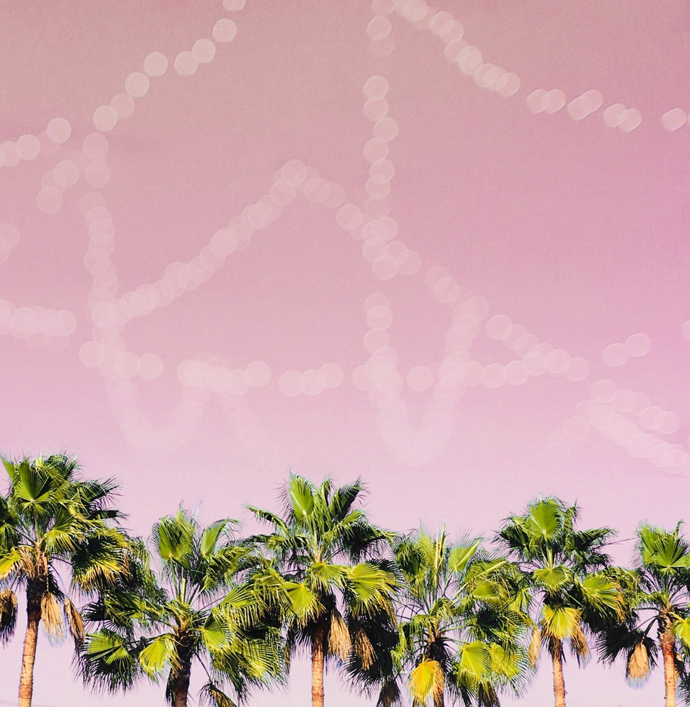 Art Block - Lost & Found - Row of Palms - Cedar Mountain Studios