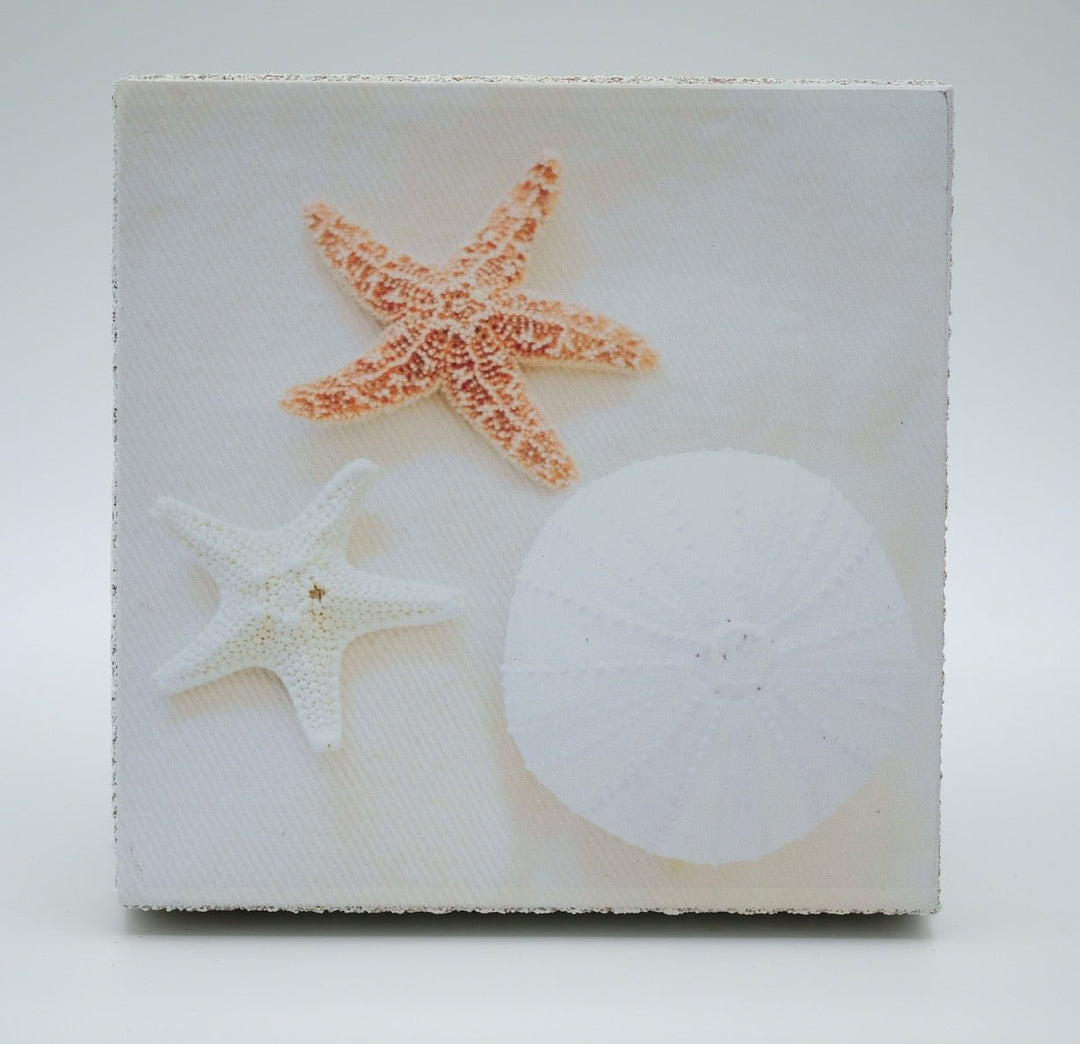 Art Block - Lost & Found - Seashells - Cedar Mountain Studios
